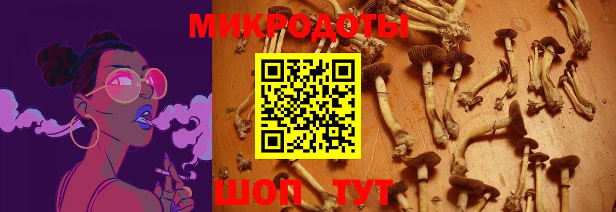 Лыткарино  где найти наркотики  Вход с VPN  Галлюциногенные грибы Psilocybine cubensis 